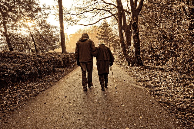 elderly couple, walking, park, trees, outdoors, exercise, arm in arm, walking arm in arm, impaired vision, nature, monochrome, sepia